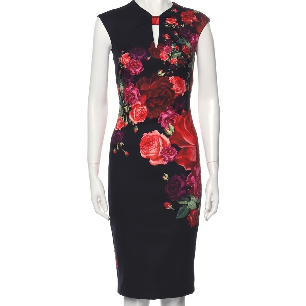 Ted baker midi dress
